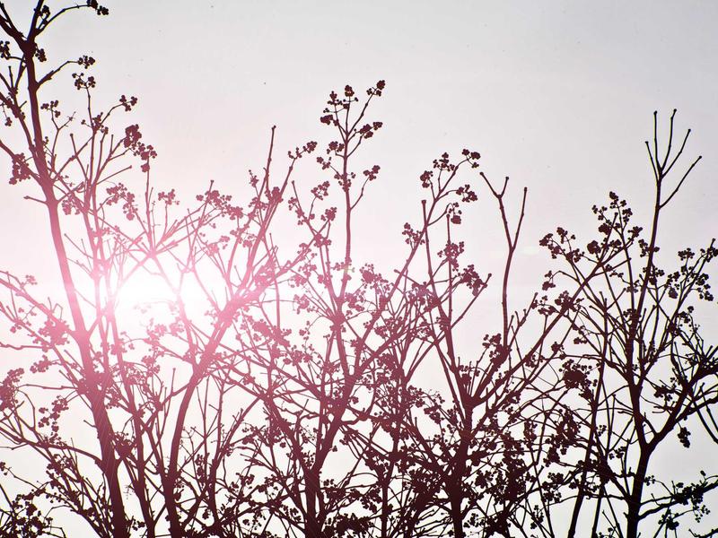 sudoku technique mastery